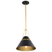 SATCO/NUVO Adina 1 Light Medium Pendant Matte Black And Natural Brass Finish (60-7766)