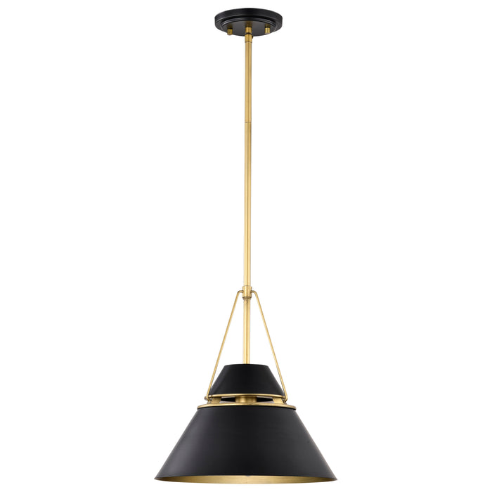 SATCO/NUVO Adina 1 Light Medium Pendant Matte Black And Natural Brass Finish (60-7766)