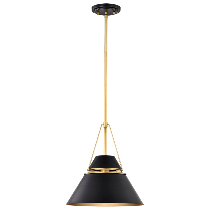 SATCO/NUVO Adina 1 Light Medium Pendant Matte Black And Natural Brass Finish (60-7766)