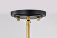 SATCO/NUVO Adina 1 Light Medium Pendant Matte Black And Natural Brass Finish (60-7766)