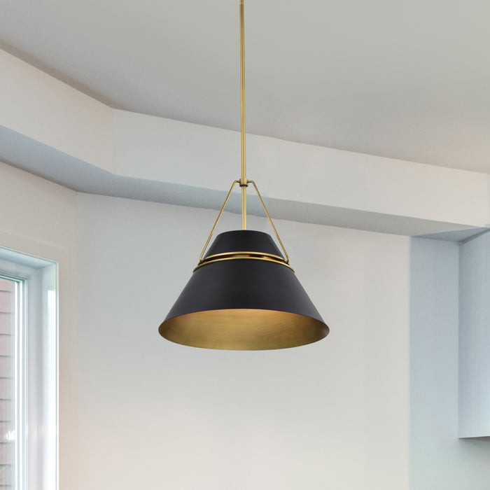 SATCO/NUVO Adina 1 Light Medium Pendant Matte Black And Natural Brass Finish (60-7766)