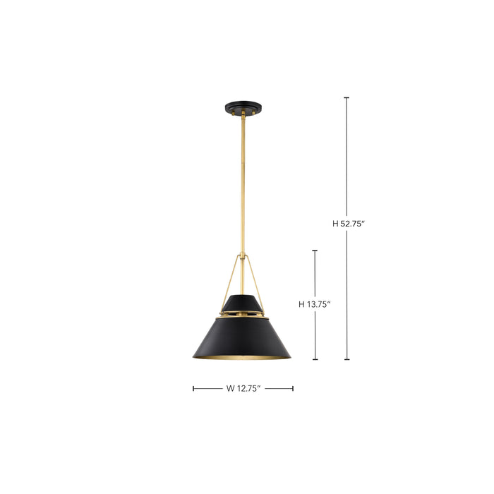 SATCO/NUVO Adina 1 Light Medium Pendant Matte Black And Natural Brass Finish (60-7766)