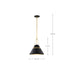 SATCO/NUVO Adina 1 Light Medium Pendant Matte Black And Natural Brass Finish (60-7766)