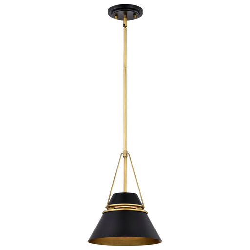 SATCO/NUVO Adina 1 Light Small Pendant Matte Black And Natural Brass Finish (60-7767)