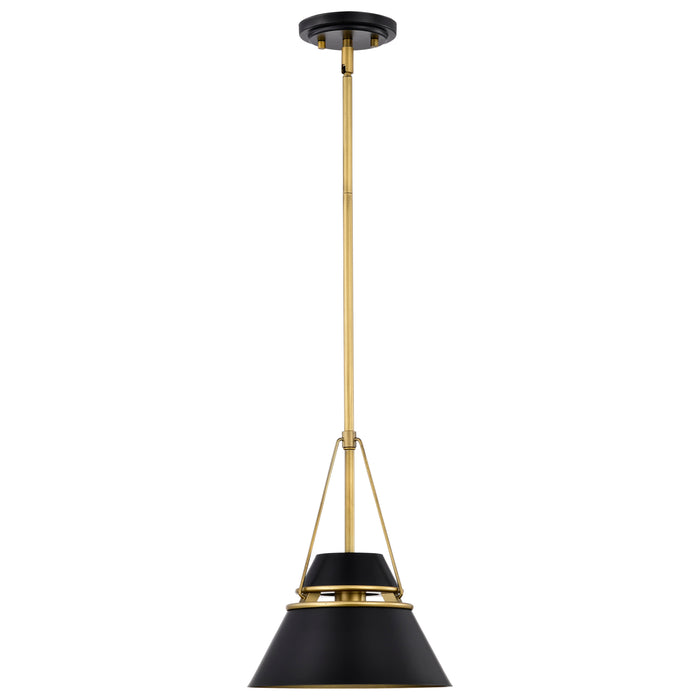 SATCO/NUVO Adina 1 Light Small Pendant Matte Black And Natural Brass Finish (60-7767)