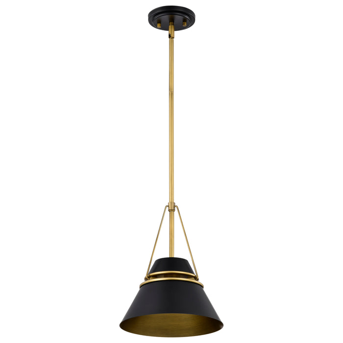 SATCO/NUVO Adina 1 Light Small Pendant Matte Black And Natural Brass Finish (60-7767)