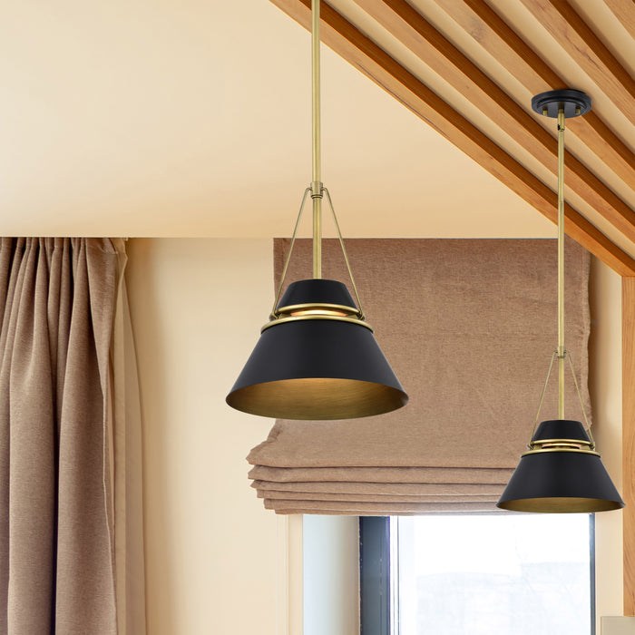 SATCO/NUVO Adina 1 Light Small Pendant Matte Black And Natural Brass Finish (60-7767)