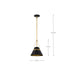 SATCO/NUVO Adina 1 Light Small Pendant Matte Black And Natural Brass Finish (60-7767)