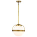 SATCO/NUVO Lakeshore 1 Light Medium Pendant Natural Brass Finish White Opal Glass (60-7784)