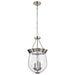 SATCO/NUVO Boliver 3 Light Pendant 11 Inch Brushed Nickel Finish Clear Seeded Glass (60-7802)