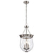 SATCO/NUVO Boliver 3 Light Pendant 11 Inch Brushed Nickel Finish Clear Seeded Glass (60-7802)