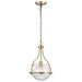 SATCO/NUVO Amado 1 Light Pendant 10 Inch Vintage Brass Finish Clear Glass (60-7815)