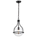 SATCO/NUVO Amado 1 Light Pendant 10 Inch Matte Black Finish Clear Glass (60-7817)