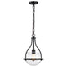 SATCO/NUVO Amado 1 Light Pendant 10 Inch Matte Black Finish Clear Glass (60-7817)