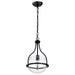 SATCO/NUVO Amado 1 Light Pendant 10 Inch Matte Black Finish Clear Glass (60-7817)