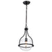 SATCO/NUVO Amado 1 Light Pendant 10 Inch Matte Black Finish Clear Glass (60-7817)