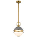 SATCO/NUVO Everton 1 Light Pendant 10 Inch Matte Gray And Brass Finish Etched Opal Glass (60-7875)