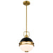 SATCO/NUVO Everton 1 Light Pendant 10 Inch Matte Black And Brass Finish Etched Opal Glass (60-7876)