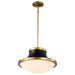 SATCO/NUVO Lafayette 1 Light Pendant 18 Inch Matte Black Finish With Natural Brass Accents And White Opal Glass (60-7908)