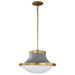 SATCO/NUVO Lafayette 1 Light Pendant 18 Inch Gray Finish With Natural Brass Accents And White Opal Glass (60-7918)