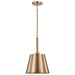 SATCO/NUVO Alexis 1-Light Small Pendant 100W Maximum 120V Burnished Brass And Gold Finish (60-7939)