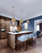 SATCO/NUVO Alexis 1-Light Small Pendant 100W Maximum 120V Burnished Brass And Gold Finish (60-7939)