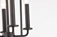 SATCO/NUVO Emma 4-Light Small Pendant 60W Maximum 120V Matte Black Finish (60-7941)