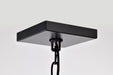 SATCO/NUVO Emma 4-Light Large Pendant 60W Maximum 120V Matte Black Finish (60-7942)