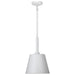 SATCO/NUVO Alexis 1-Light Small Pendant 100W Maximum 120V Matte White Finish (60-7949)