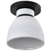SATCO/NUVO Collins 8 Inch Flush Mount Ceramic With Silver Accents (60-8011)