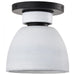 SATCO/NUVO Collins 8 Inch Flush Mount Ceramic With Silver Accents (60-8011)