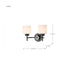 SATCO/NUVO Warren 2-Light Vanity Gun Metal With Satin White Glass (60-8032)