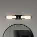 SATCO/NUVO Roselle 2-Light Vanity Matte Black With White Glass (60-8052)