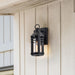 SATCO/NUVO Wilton 1-Light Small Wall Lantern Matte Black With Clear Seeded Glass (60-8101)