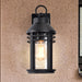 SATCO/NUVO Wilton 1-Light Medium Wall Lantern Matte Black With Clear Seeded Glass (60-8102)