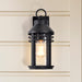 SATCO/NUVO Wilton 1-Light Medium Wall Lantern Matte Black With Clear Seeded Glass (60-8102)