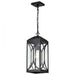 SATCO/NUVO Oaklyn 1-Light Hanging Lantern Matte Black With Clear Glass (60-8125)