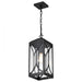 SATCO/NUVO Oaklyn 1-Light Hanging Lantern Matte Black With Clear Glass (60-8125)