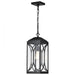 SATCO/NUVO Oaklyn 1-Light Hanging Lantern Matte Black With Clear Glass (60-8125)