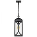 SATCO/NUVO Oaklyn 1-Light Hanging Lantern Matte Black With Clear Glass (60-8125)