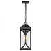SATCO/NUVO Oaklyn 1-Light Hanging Lantern Matte Black With Clear Glass (60-8125)