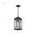 SATCO/NUVO Oaklyn 1-Light Hanging Lantern Matte Black With Clear Glass (60-8125)