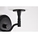 SATCO/NUVO Liam 1-Light Vanity Matte Black White Opal Glass (60-8211)