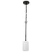 SATCO/NUVO Liam 1-Light Mini Pendant Matte Black White Opal Glass (60-8215)