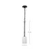 SATCO/NUVO Liam 1-Light Mini Pendant Matte Black White Opal Glass (60-8215)