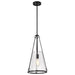 SATCO/NUVO Valentine Medium Pendant Black Finish Hammered Glass (60-8256)