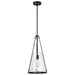 SATCO/NUVO Valentine Medium Pendant Black Finish Hammered Glass (60-8256)