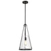 SATCO/NUVO Valentine Medium Pendant Black Finish Hammered Glass (60-8256)