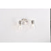 SATCO/NUVO Gianna 2-Light Vanity Brushed Nickel Finish Clear Glass (60-8332)