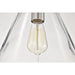 SATCO/NUVO Gianna 1-Light Medium Pendant Brushed Nickel Finish Clear Glass (60-8338)
